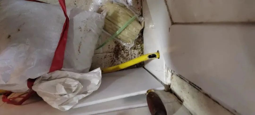 燃氣軟管(guǎn)被老鼠咬(yao)了個大窟(kū)窿,竟然……