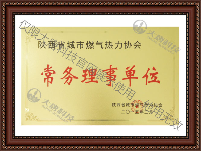 陝(shan)西省城市燃(ran)氣熱力協會(huì)常務理事單(dān)位